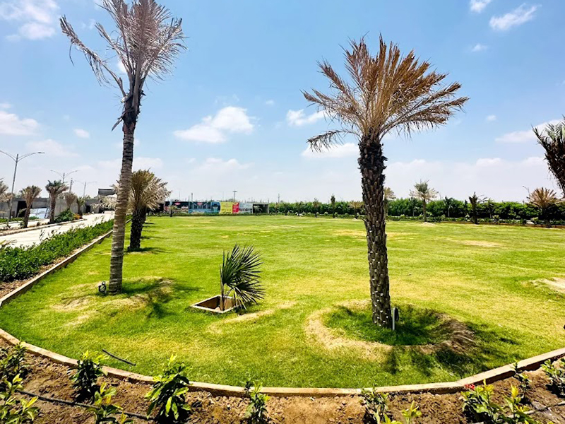   Garden